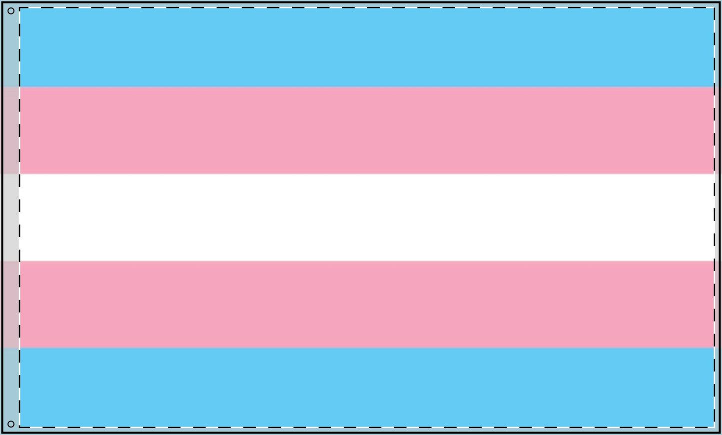 Transgender Flag