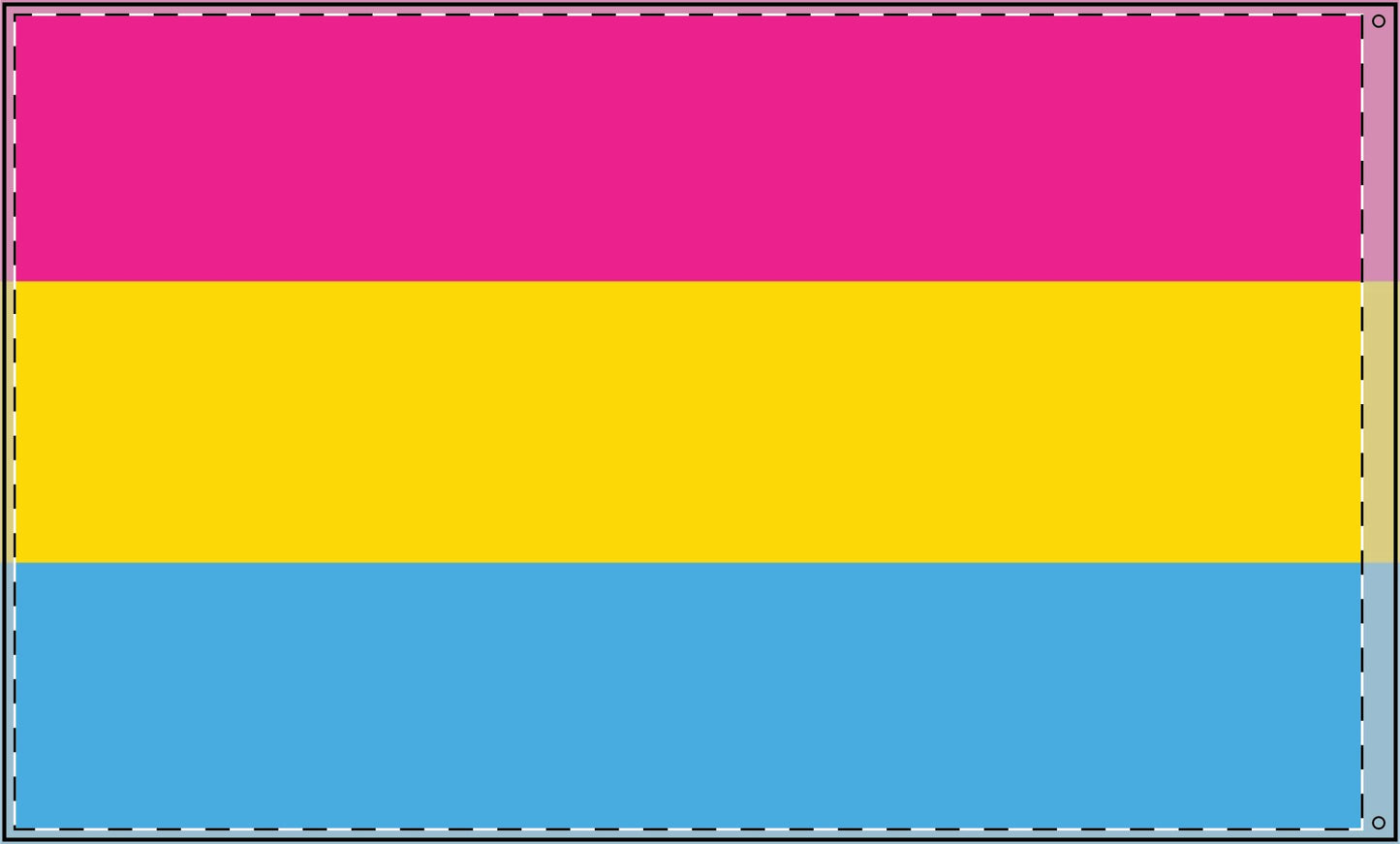 Pansexual Flag