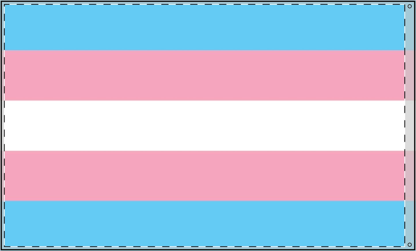 Transgender Flag