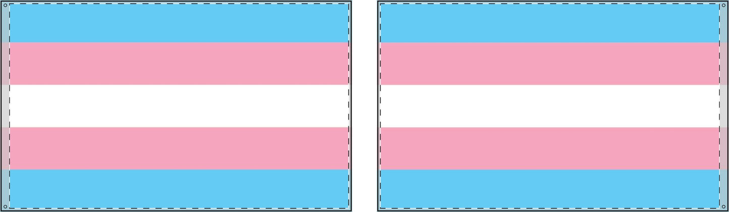 Transgender Flag
