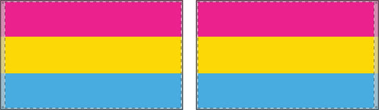 Pansexual Flag