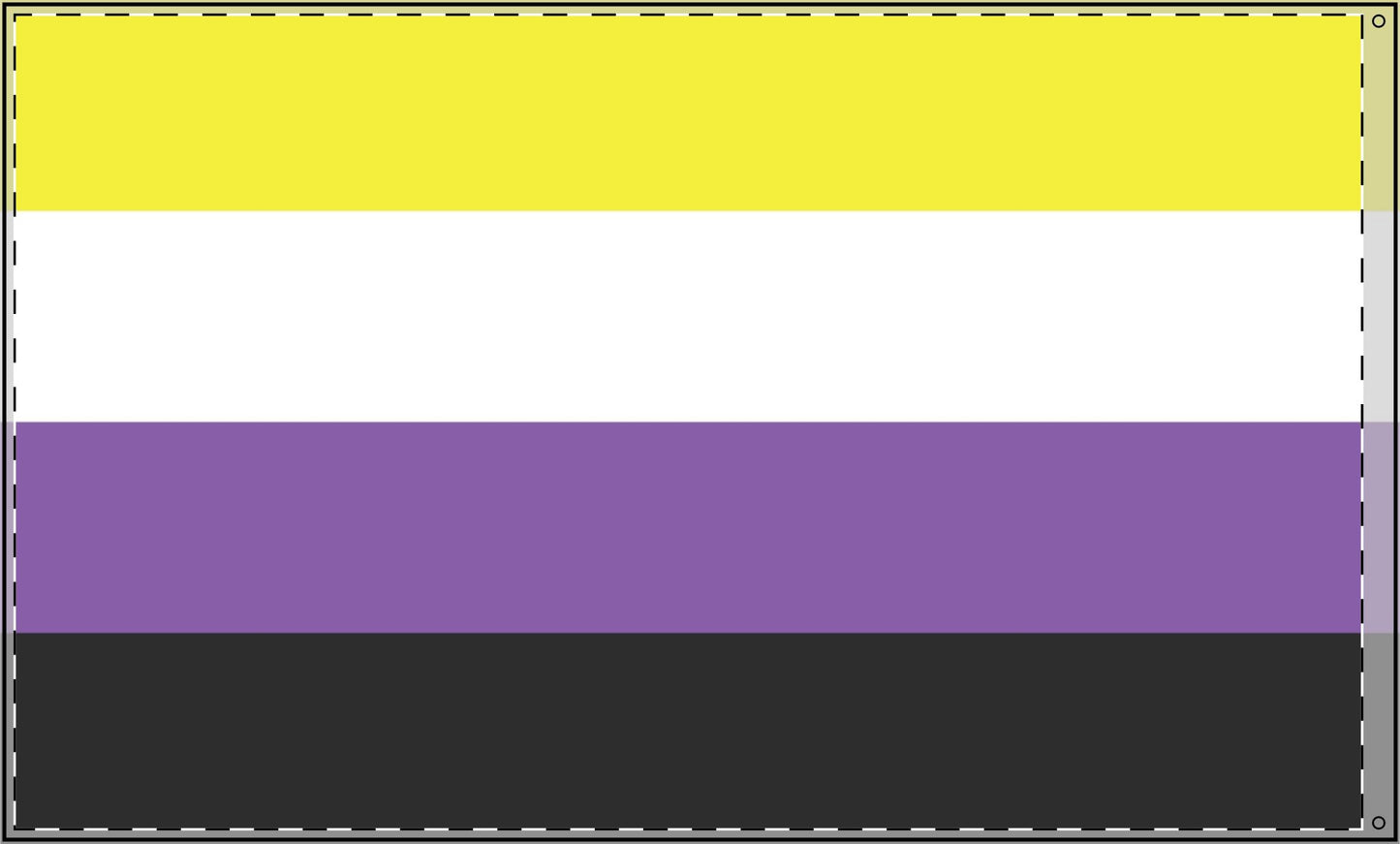 Non-Binary Flag