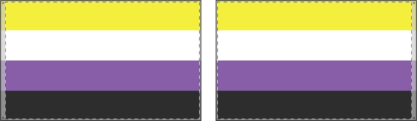 Non-Binary Flag